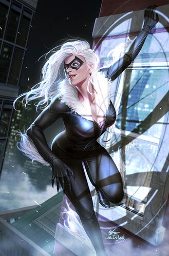 Black Cat Vol 1 3 Bring on the Bad Guys Unknown Comic Books Exclusive Virgin Variant