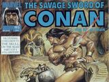 Savage Sword of Conan Vol 1 193