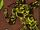 Warlock (Earth-9151)