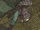 Peter Parker (Earth-23241) from Spider-Man Vol 2 7 001.jpg