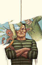 Amazing Spider-Man Vol 1 615 Villain Variant Textless.jpg