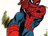 Peter Parker (Earth-TRN911)