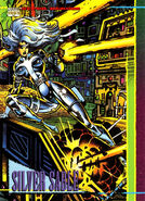 6. Silver Sable