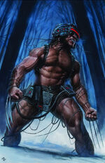 Weapon X