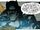 T'Challa (Earth-32323)
