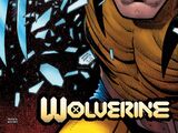 Wolverine Vol 7 40