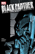 Black Panther Vol 3 #55 "Glass House of the Last Righteous Man" (May, 2003)