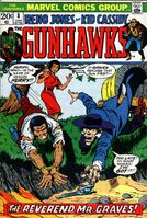 Gunhawks #5