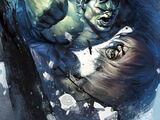 Incredible Hulk Vol 3 11