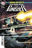 What If? The Punisher Vol i 1