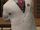Wilson Fisk (Earth-21913)