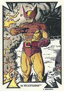 James Howlett (Earth-616) from Todd Macfarlane (Trading Cards) 0002