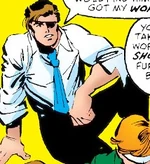 Daredevil: agent of S.H.I.E.L.D. (Earth-8181)