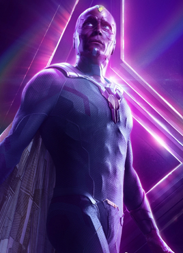 Vision MCU