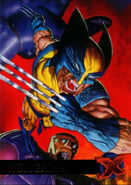 James Howlett (Earth-616) from Ultra X-Men (Trading Cards) 1995 Set 001