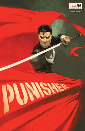 Punisher Vol 13 2 Aspinall Variant.jpg