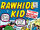 Rawhide Kid Vol 1 18