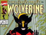 Wolverine Vol 2 29