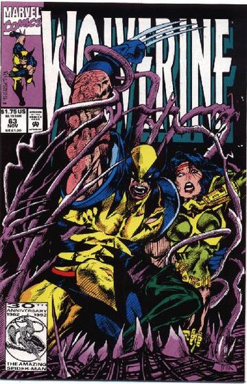 Wolverine #62 vs Sabretooth - Larry Hama Story & Mark Texeira Cover Art