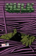 Hulk (Vol. 5) #5 Window Shades Variant