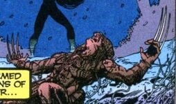 James Howlett (Heróis Renascem) Universo Marvel Primordial (Terra-616)