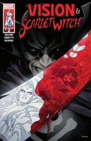 Vision and the Scarlet Witch (Vol. 3) #2