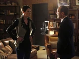 Marvel's Agents of S.H.I.E.L.D. Season 1 20