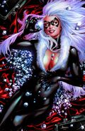Black Cat Vol 1 1 Unknown Comic Books Exclusive Virgin Variant