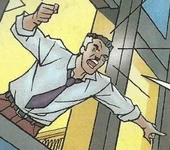 Spider-Man: Heroes & Villains (Earth-10995)