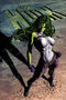 She-Hulk Vol 2 29 Textless.jpg
