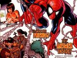 Spectacular Spider-Man Vol 1 249