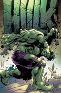 Hulk Vol 5 2 Unknown Comic Books Exclusive Virgin Variant.jpg (208 KB) Hulk (Vol. 6) #2 Unknown Comic Books Exclusive variant