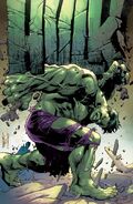 Hulk (Vol. 5) #2 Unknown Comic Books Exclusive Variant