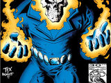 Original Ghost Rider Vol 1