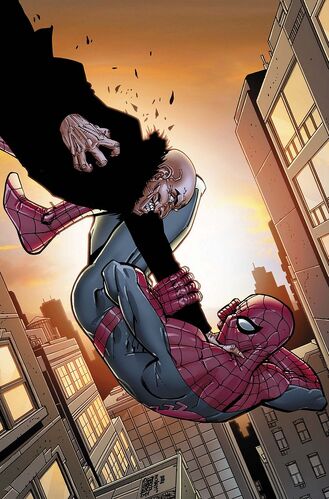 Amazing Spider-Man Vol 1 675 Textless