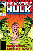 Incredible Hulk Vol 1 315