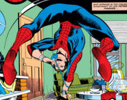 Peter Parker (Earth-616) from Amazing Spider-Man Vol 1 224 001