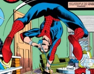 Peter Parker (Earth-616) from Amazing Spider-Man Vol 1 224 001.jpg (51 KB)