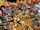 Star Trek: Starfleet Academy Vol 1 7