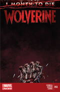 Wolverine #12