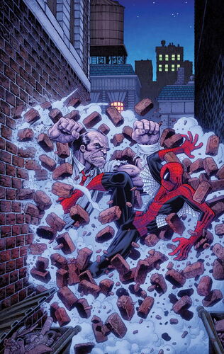 Amazing Spider-Man Vol 3 17.1 Textless