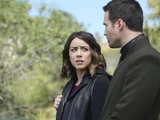 Marvel's Agents of S.H.I.E.L.D. Season 3 18