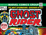 Ghost Rider Comic Books
