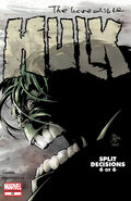 Incredible Hulk (Vol. 2) #65 "Double Exposure" (January, 2004)