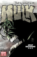Incredible Hulk (Vol. 2) #65 "Double Exposure" Release date: January 14, 2004 Cover date: March, 2004
