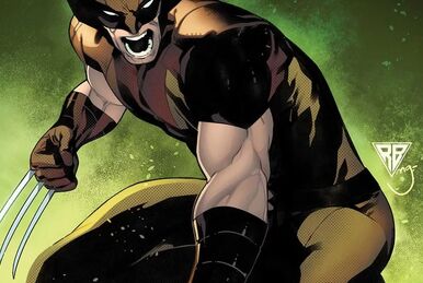 Wolverine w168 new arrivals