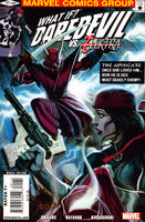 What If? Daredevil Vs. Elektra Vol 1 1