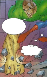 Spider-Man: Heroes & Villains (Earth-10995)