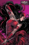 Daredevil: Woman Without Fear #3 Stormbreakers Variant