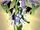 She-Hulk Vol 1 6